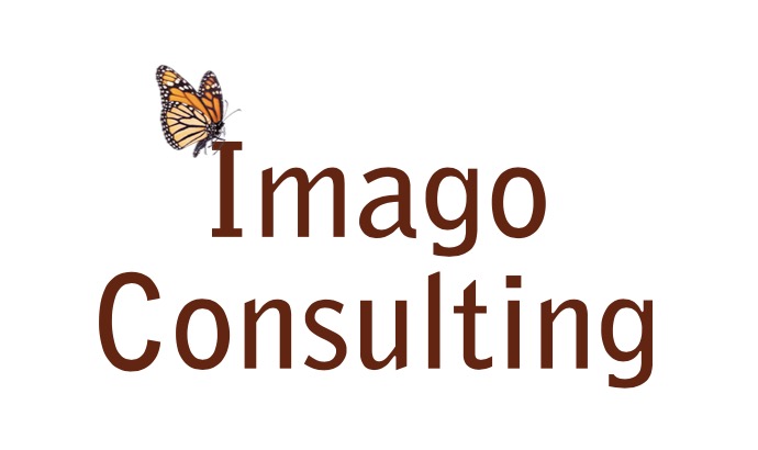 Imago Consulting